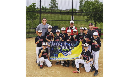 Tigers 10u Black AAA Division II 2021 Silver Bracket State Champs 